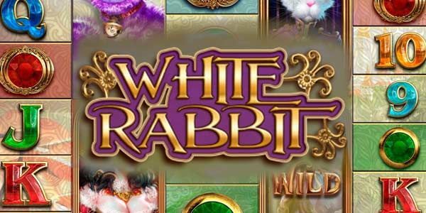 White Rabbit Review