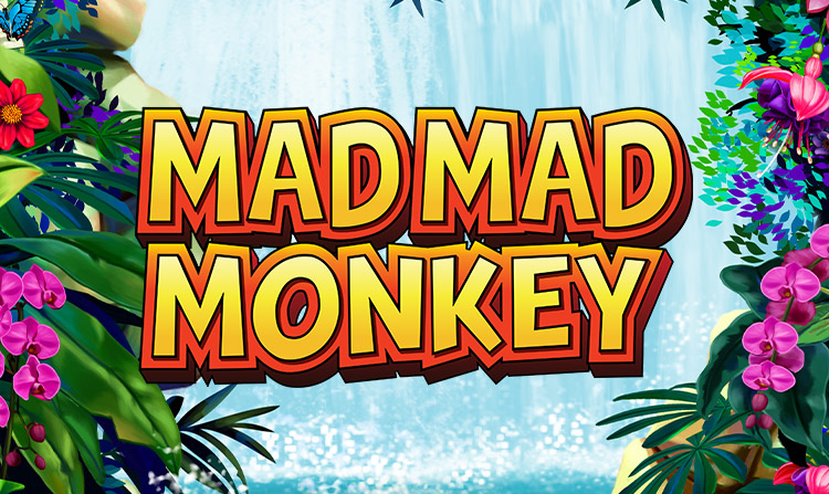 Mad Mad Monkey Review